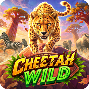 Cheetah Wild